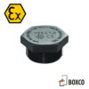 Blindplugg EX (M) hexagonal